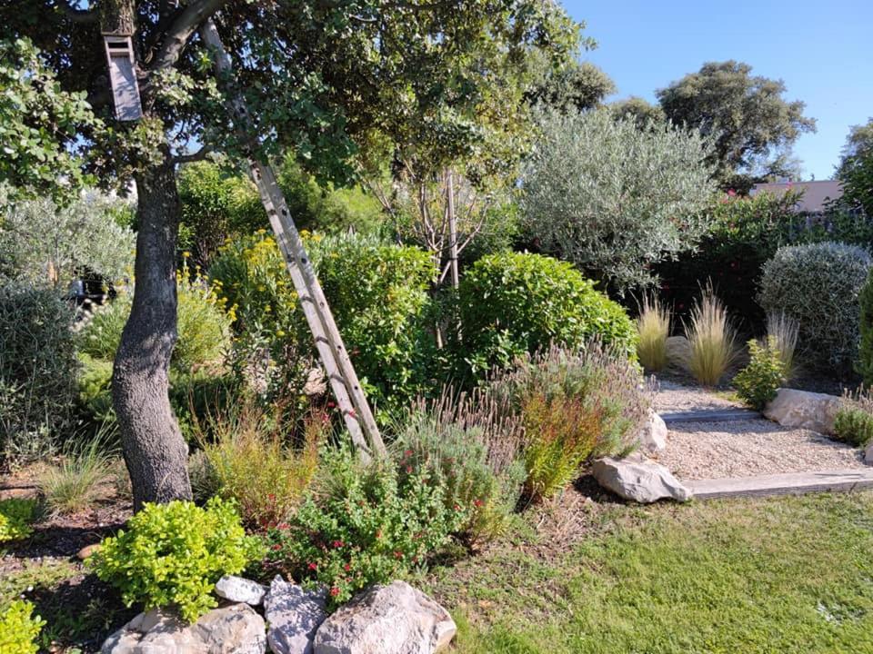 La Mathilde Bed and Breakfast Villeneuve-lès-Avignon Exteriör bild